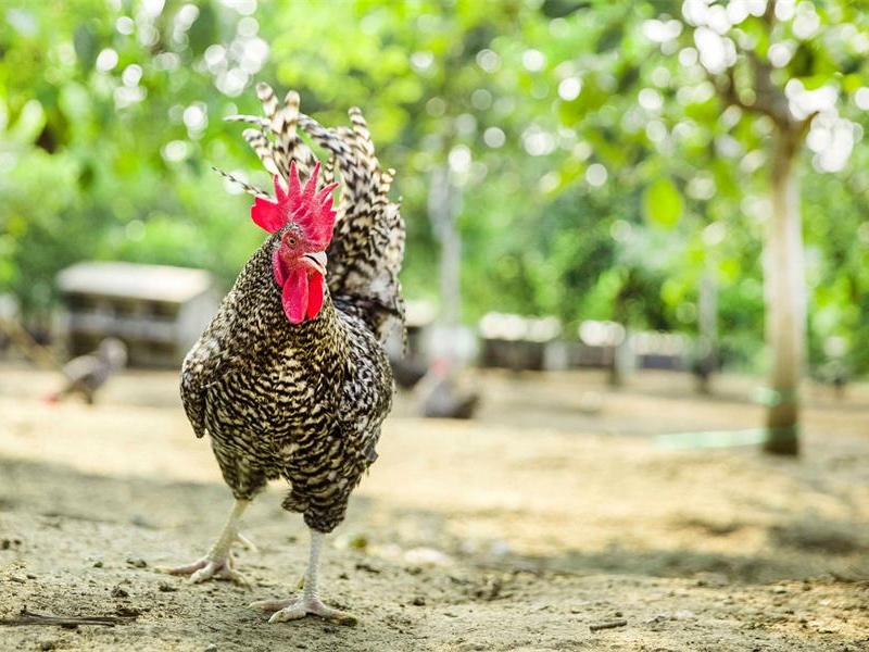 ��һ���棡����ץ�u��ِ����(b��o)����